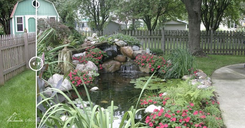 Koi Ponds & Water Gardens preview 5